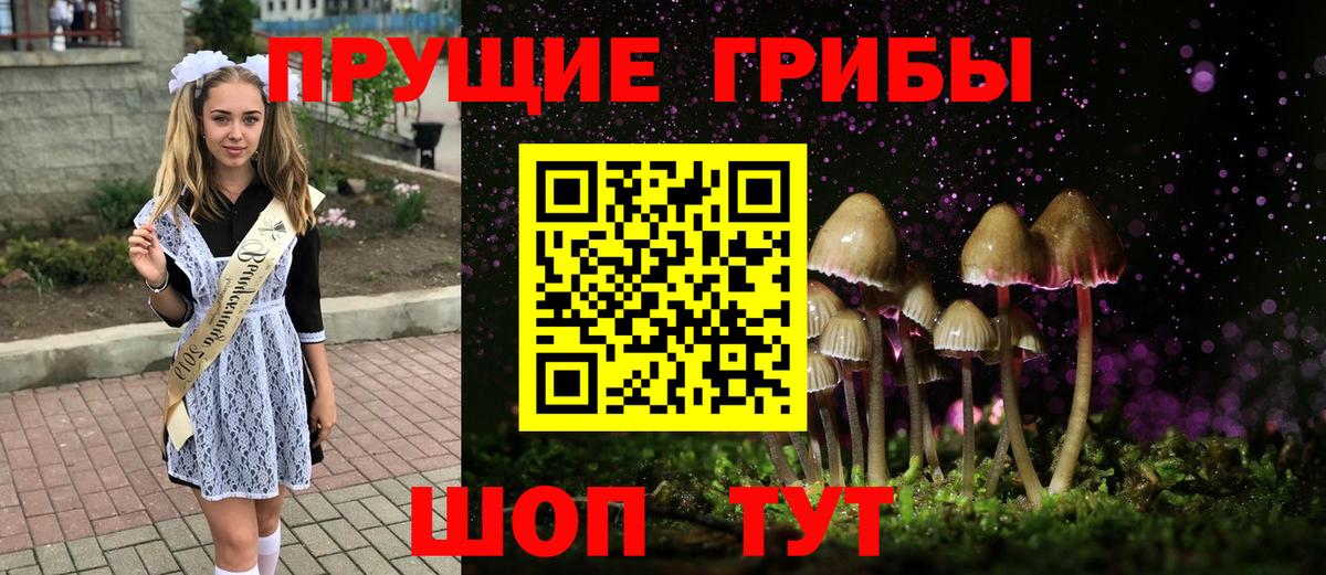 Галлюциногенные грибы мицелий Котельники